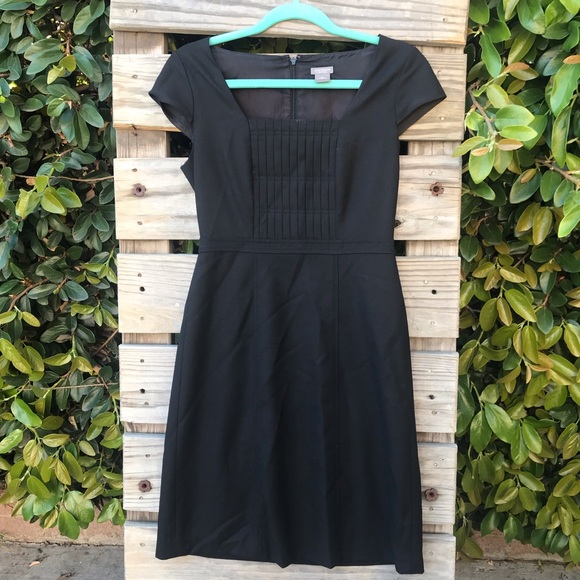 petite lbd dresses